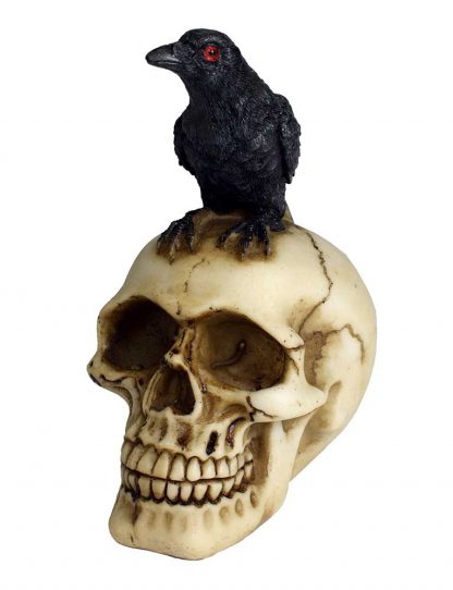 Skull Ivory With Corbie Bird