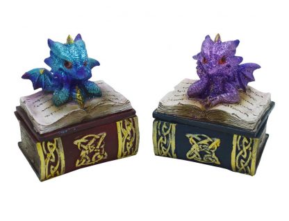 Box Dragon On Book Set Of 2