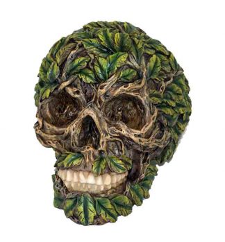 Skull With Greenery