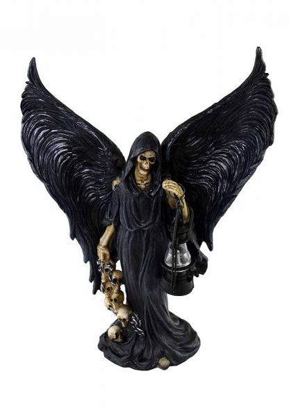 Skeleton Reaper With Wings