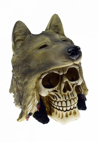 Skull With Wolf Hat