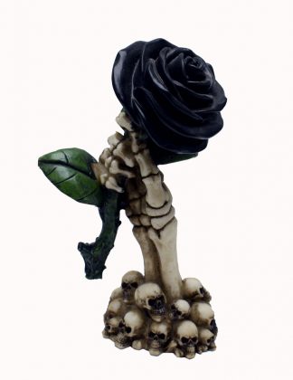 Hand With Black Rose