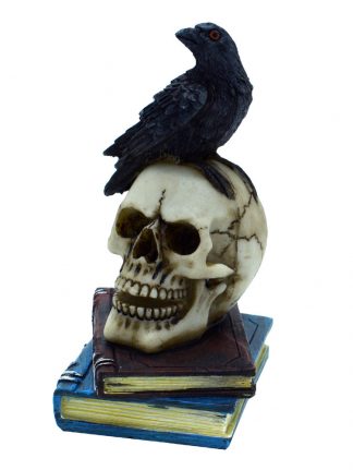 Skull With Crow On Books