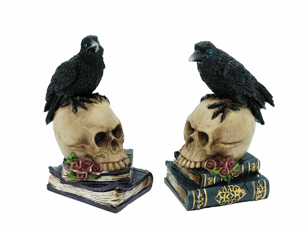 Ravens on Skull and Books